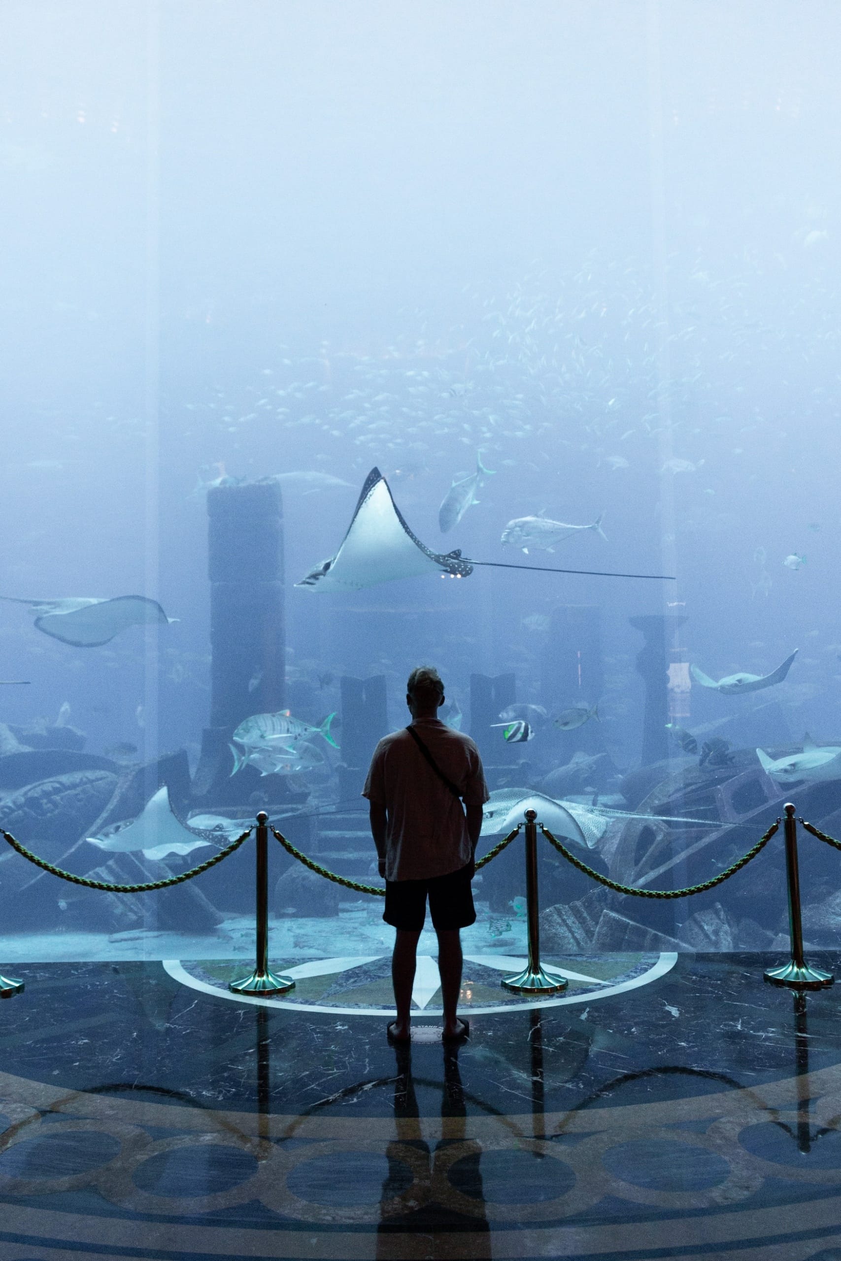 Mann im Atlantis Ozeanium in Dubai