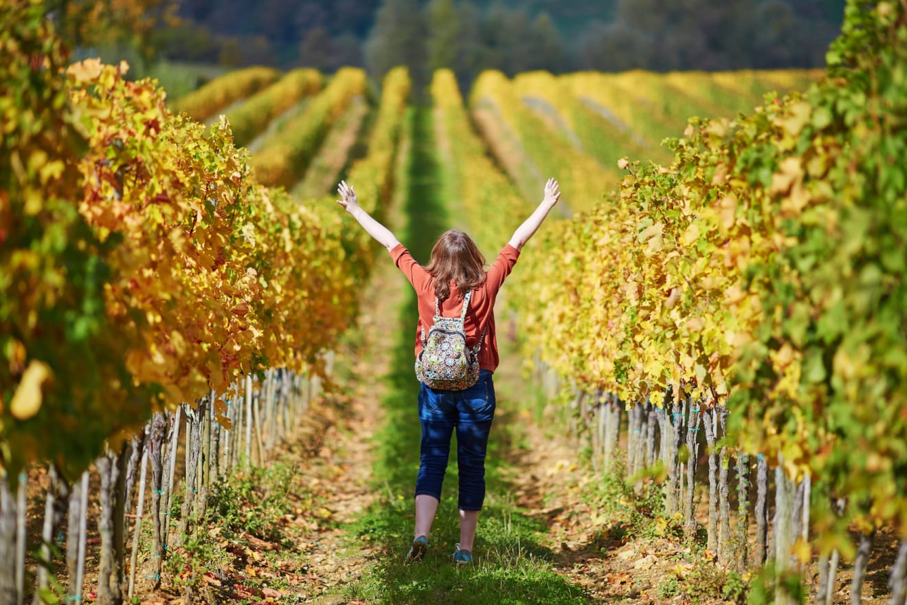 Weinwandern in baden-Württemberg: Frau mit Rucksack spaziert durch Weinreben