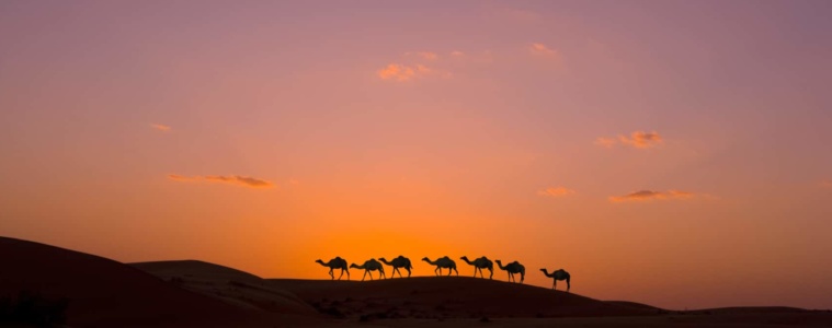 Kamelkarawane in der Wahiba-Wüste im Oman