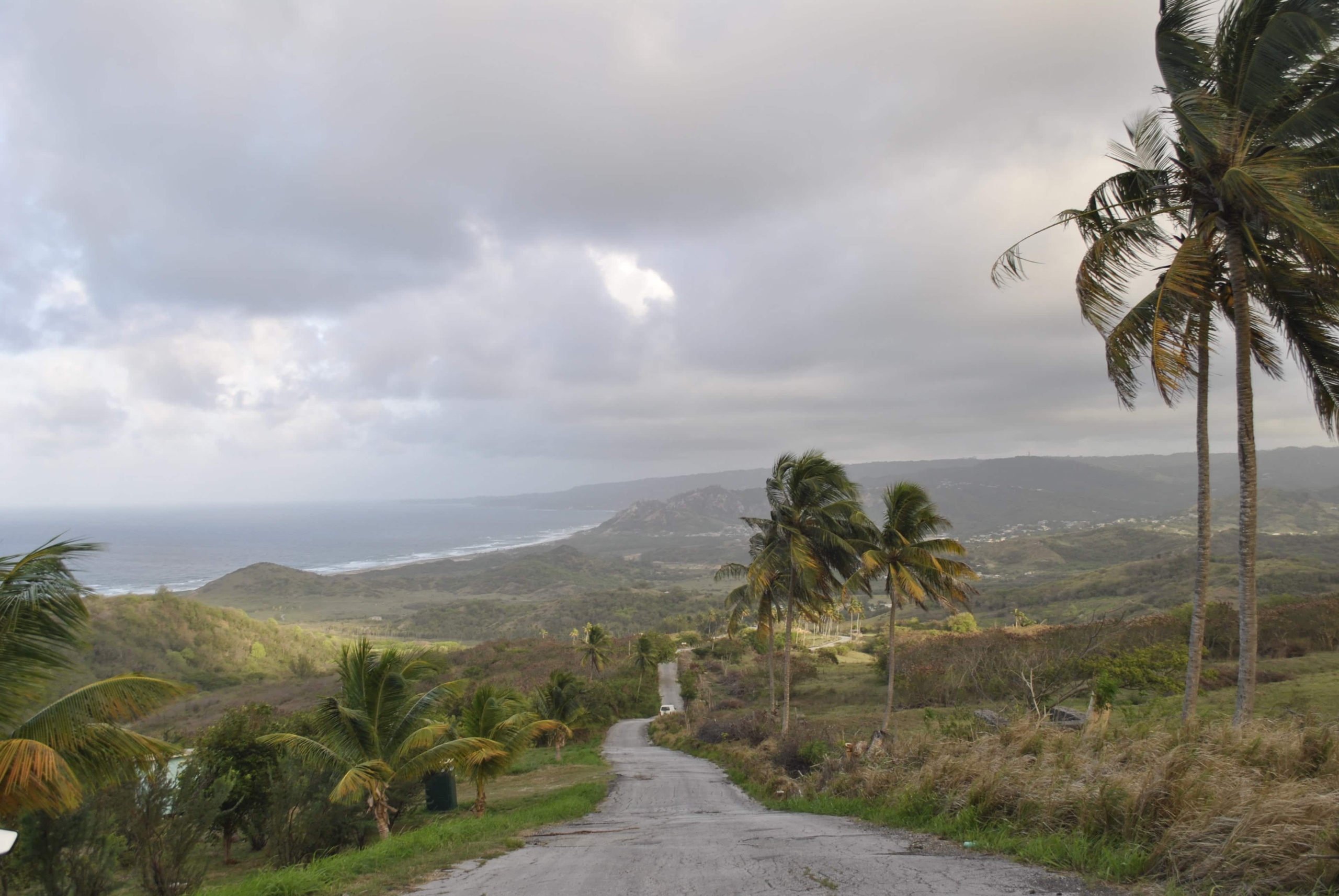 Diese 10 und weitere Gründe locken auf die Karibikinsel Barbados.