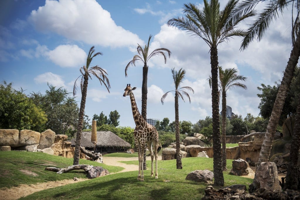 Zoo in Valencia