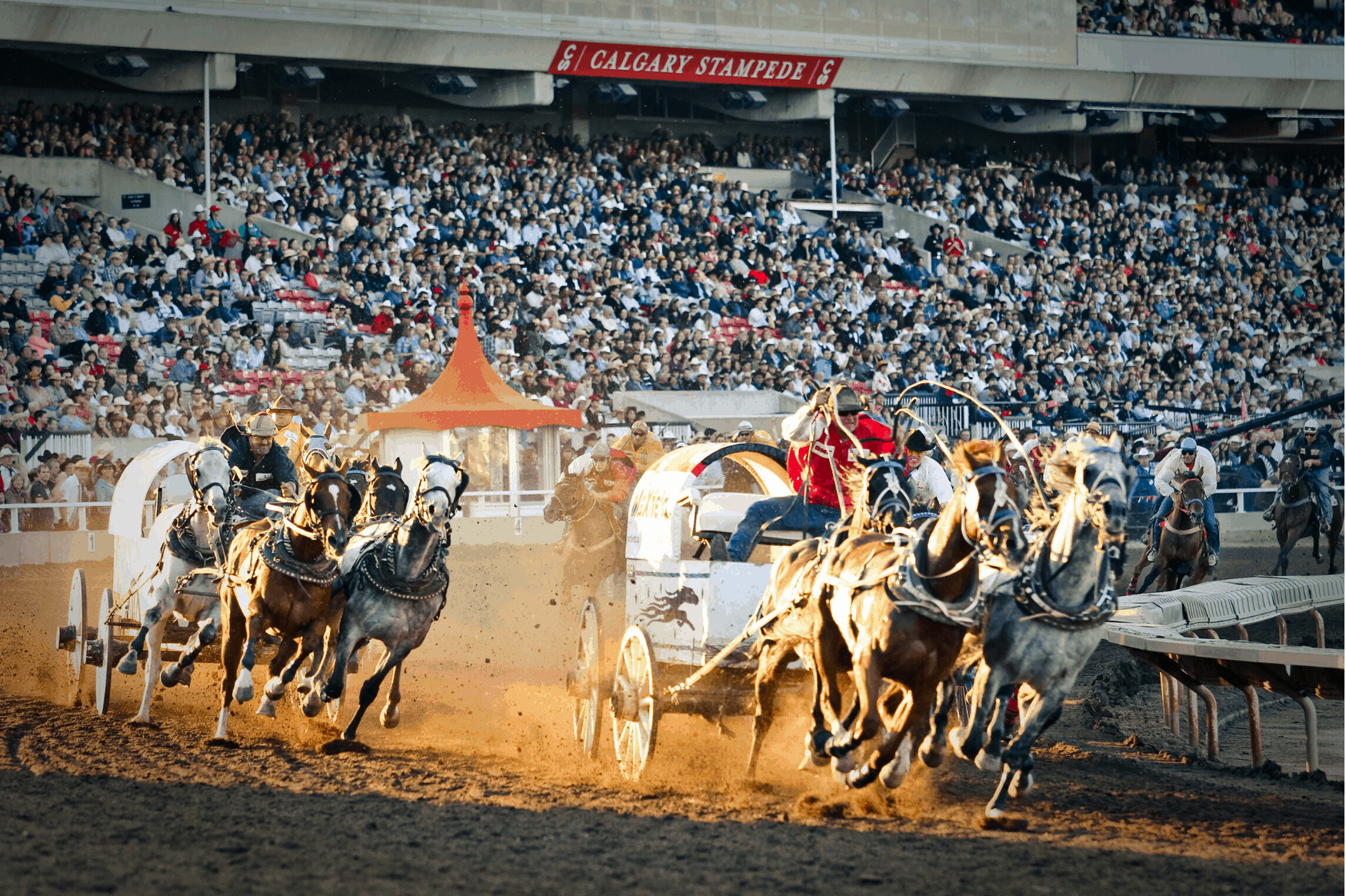 Rodeo, Calgary Stampede - The Greatest Outdoor Show on Earth