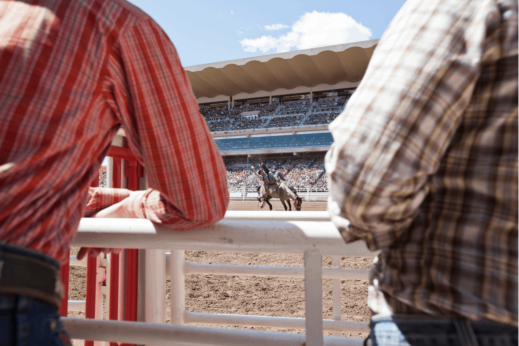 Rodeo in Calgary Stampede