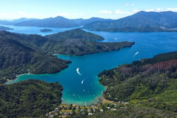 Landschaft Marlborough Sounds Neuseeland