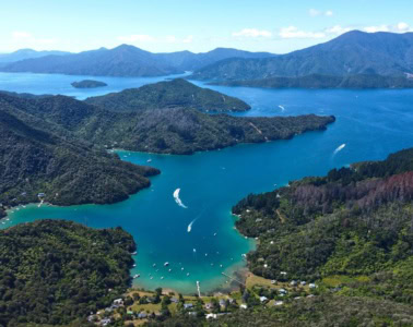 Landschaft Marlborough Sounds Neuseeland