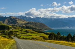 Straße entlang der Westküste Neuseelands