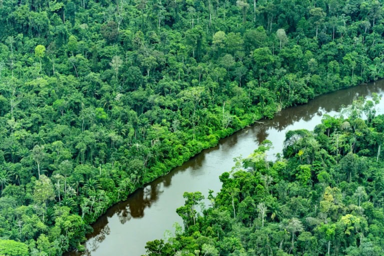 Urlaub in Suriname: Regenwald, Paramaribo und Reisetipps