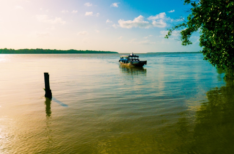 Taxi Boot auf einem Floss in Suriname