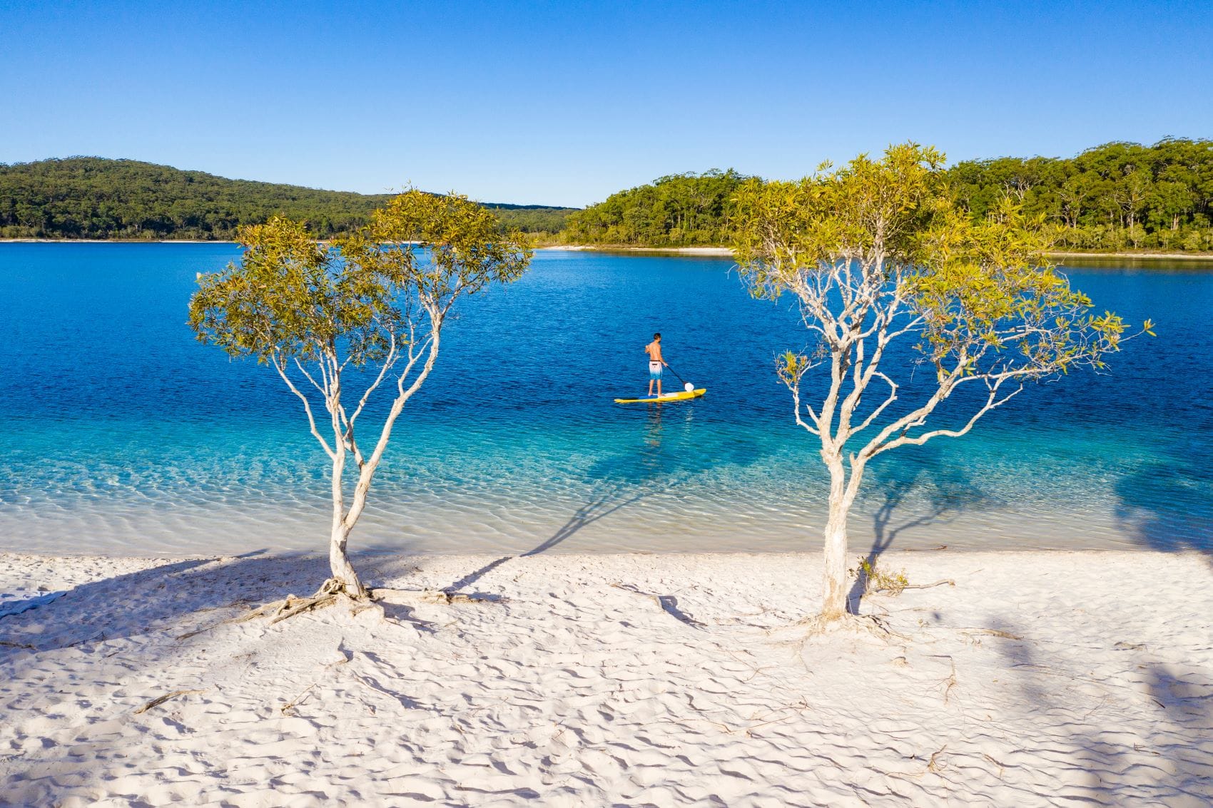 Mann beim SUP vor Strand am Lake McKenzie, Queensland, Australien 