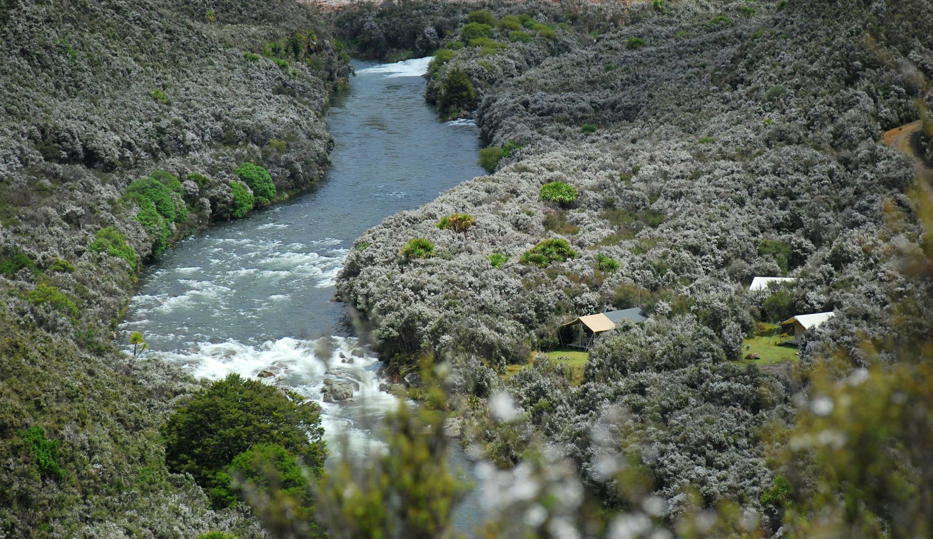 Poronui Safari Camp am Fluss