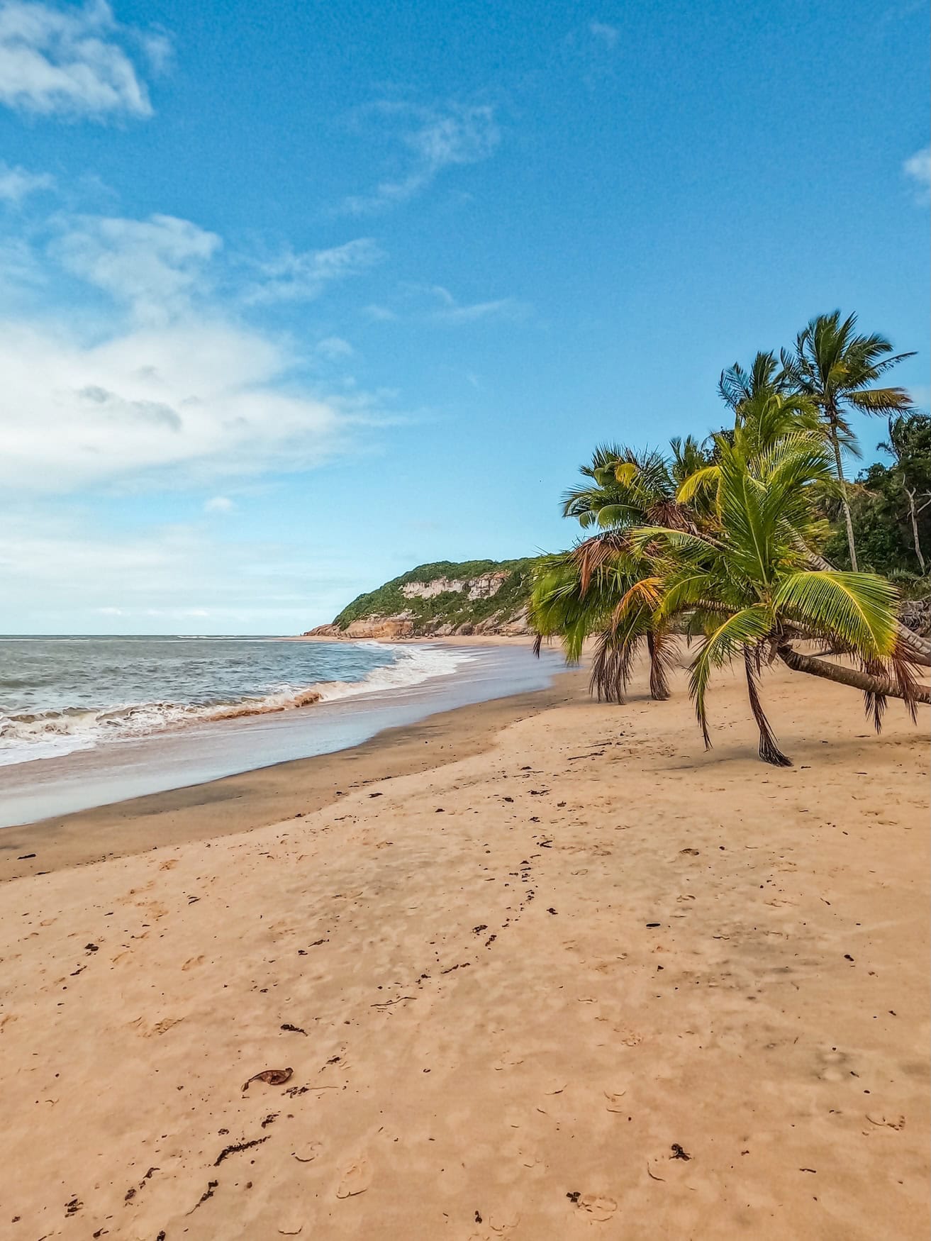 Menschenleerer Sandstrand mit Kokospalmen und Klippen an der Praia do Espelho in Bahia, Brasilien.