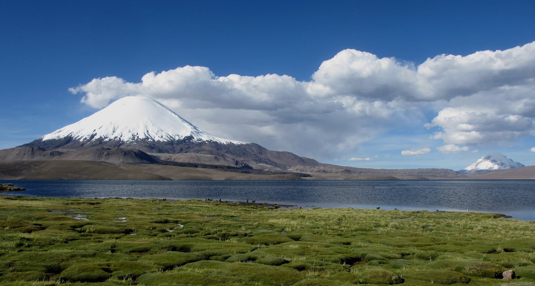 Schneebedeckter Vulkan Parinacota über dem Lago Chungará im Nationalpark Lauca, Chile.