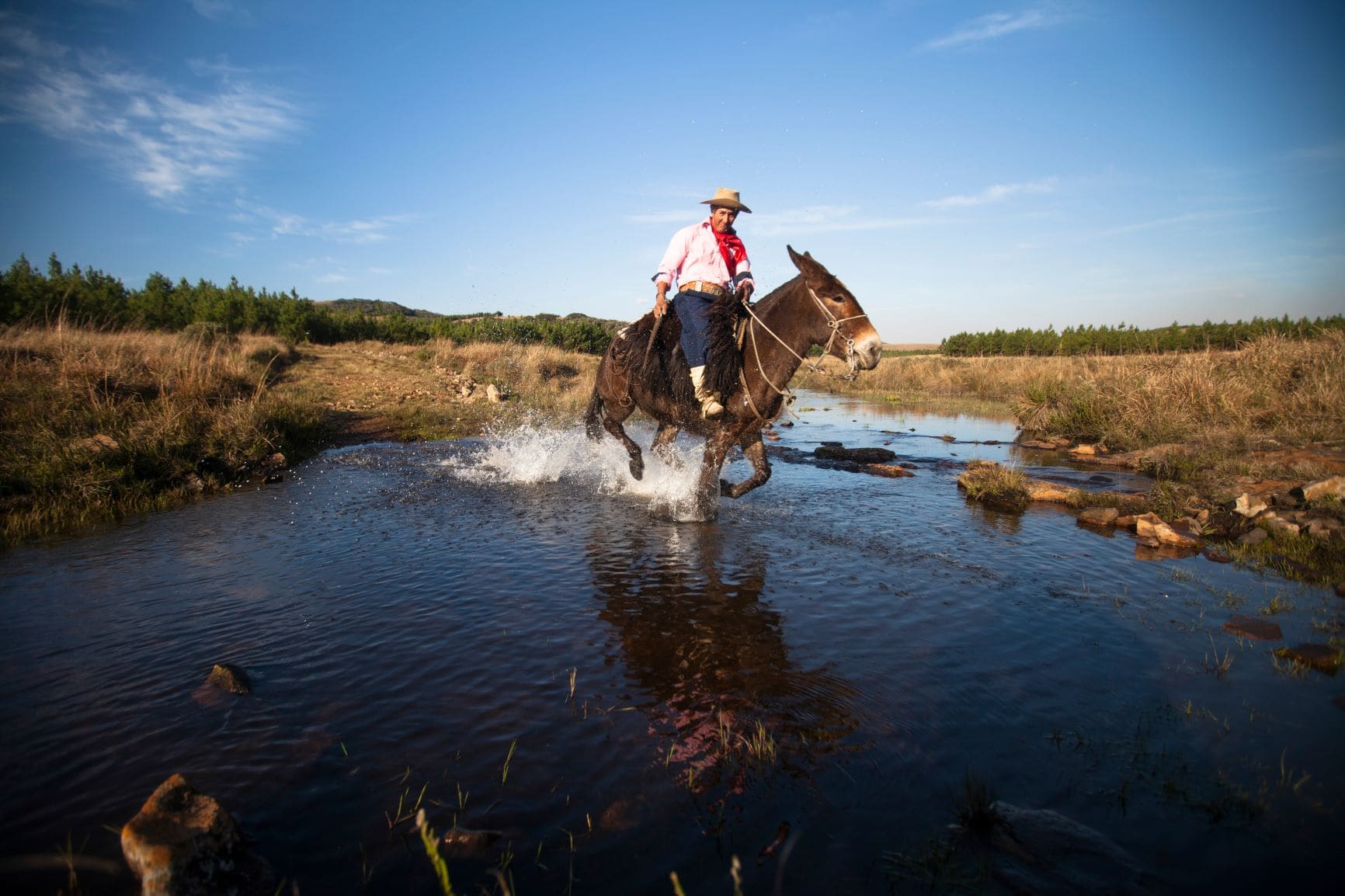 Gaucho Parque Nacional dos Aparados da Serra