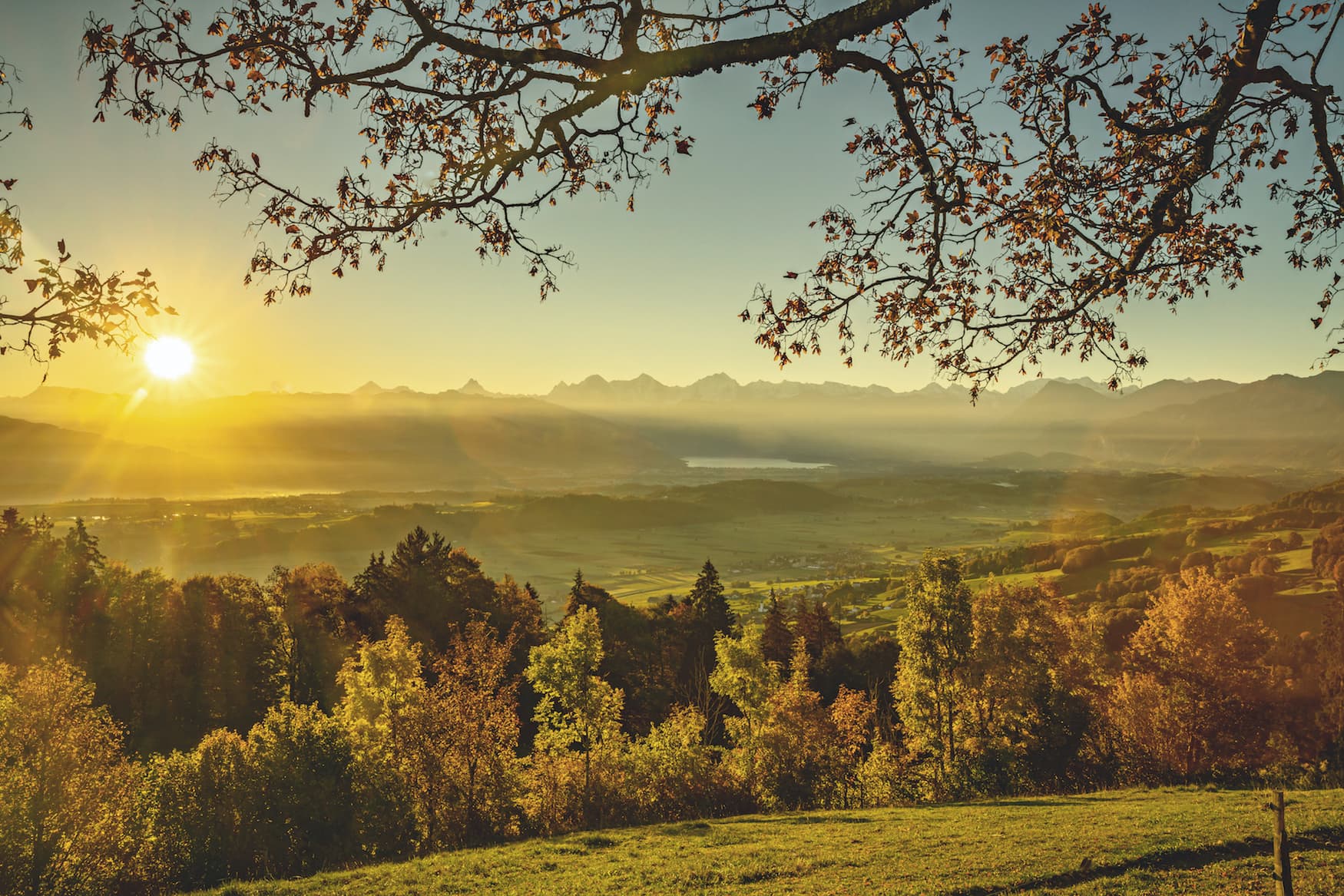 Sicht von der Buetschelegg auf die Berner Alpen und den Thunersee im Herbst
