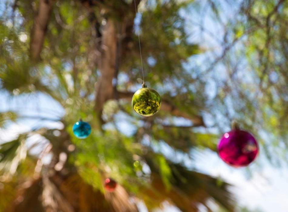 Urlaub Südafrika Weihnachten 2022 So feiert Südafrika Weihnachten reisen EXCLUSIV