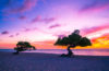 Divi Divi Strand auf Arbua