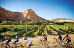 Fahrradrouten in Colorado: Weinberge von Palisade