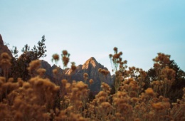 Aufnahme eines Bergs in der Natur von Utah