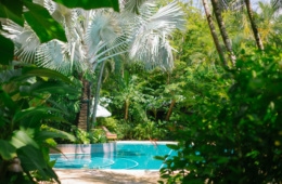 Hotelpool im Dschungel bei Nosara, Costa Rica