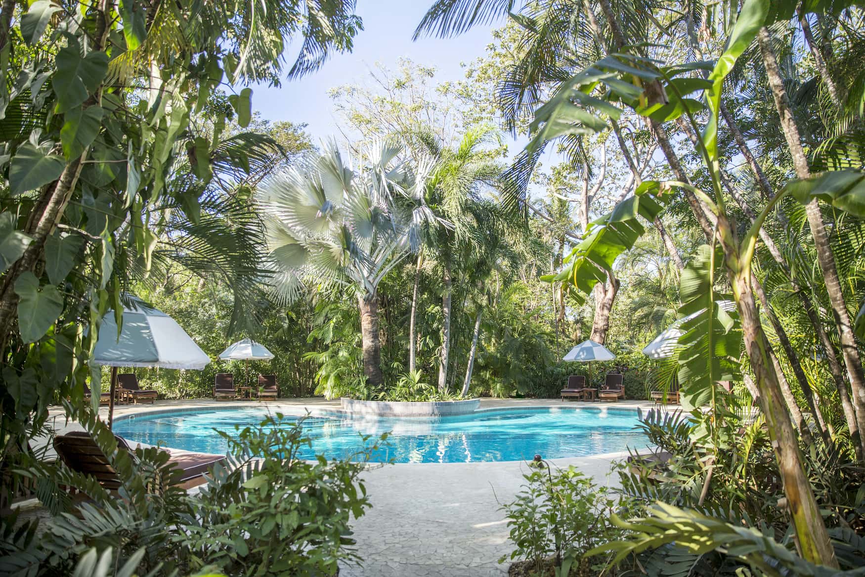 Hotelpool im Dschungel bei Nosara