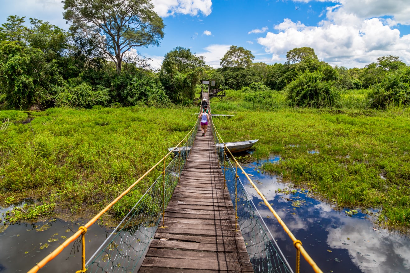 Mittlerer Westen Brasiliens: Pantanal