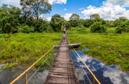 Mittlerer Westen Brasiliens: Pantanal