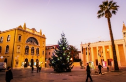 Weihnachtsbaum steht auf einem Platz in der kroatischen Stadt Split