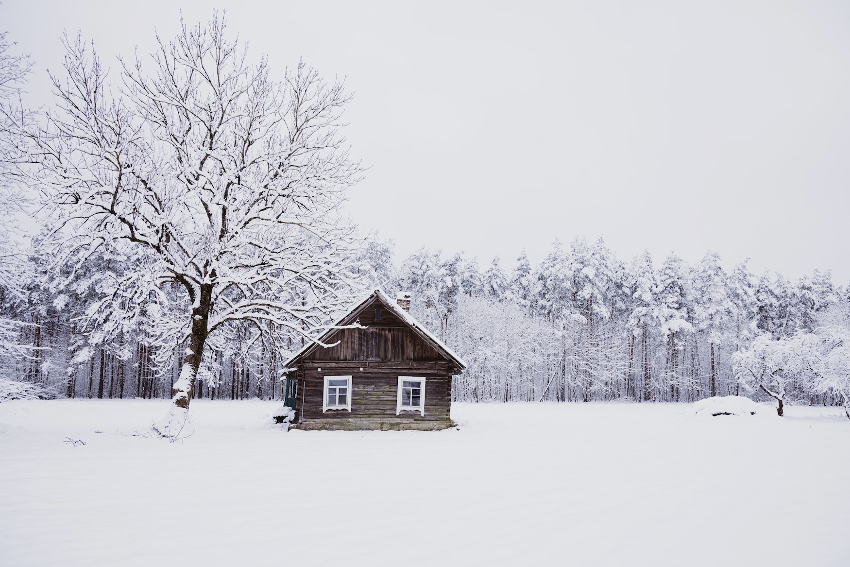 skurille Traditionen zu Weihnachten: Balkenziehen in Lettland