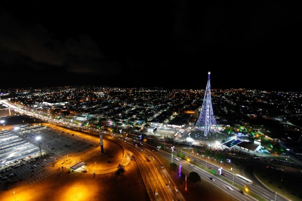 Mirassol Tree in Natal