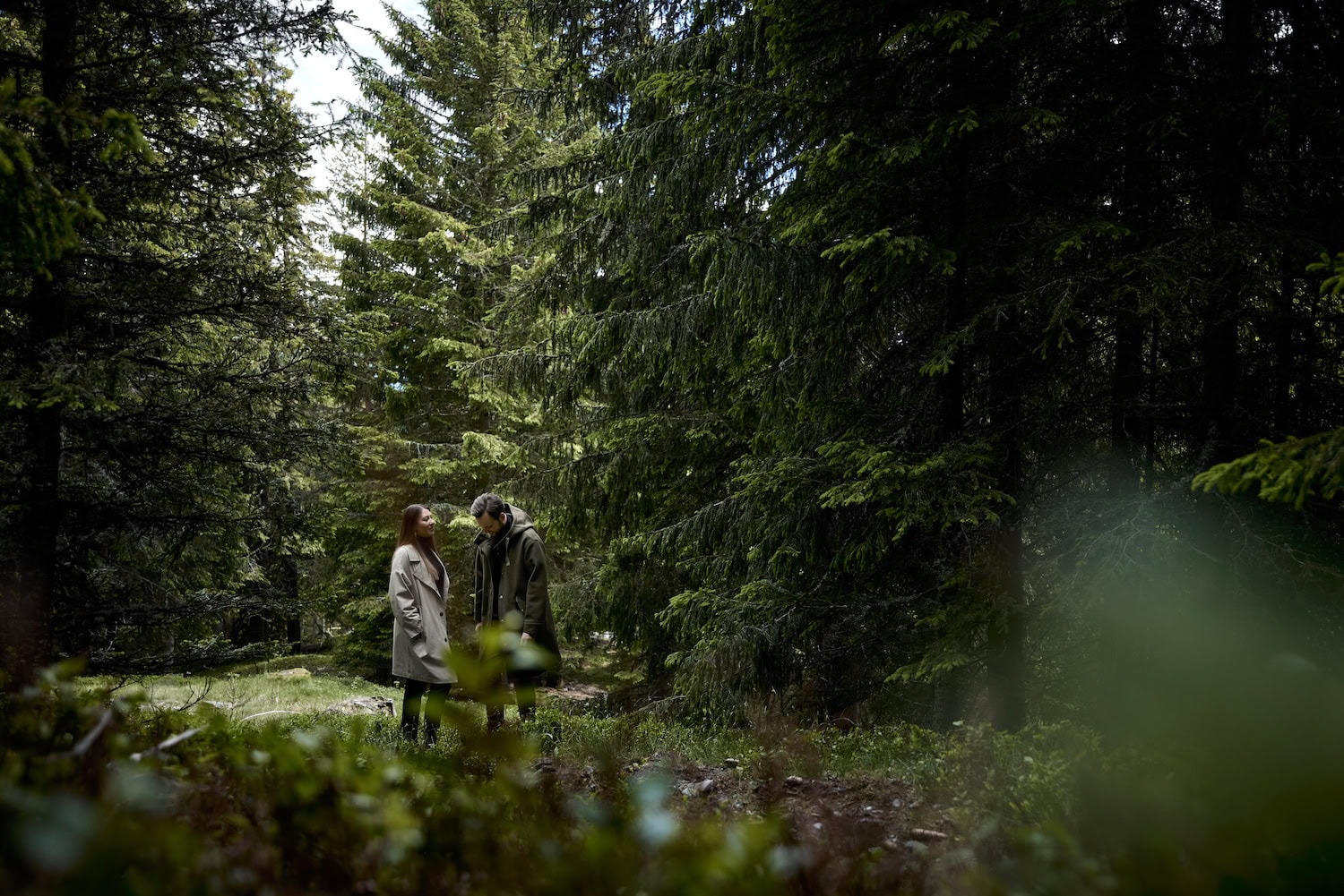 der Wald im Forestis in Südtirol