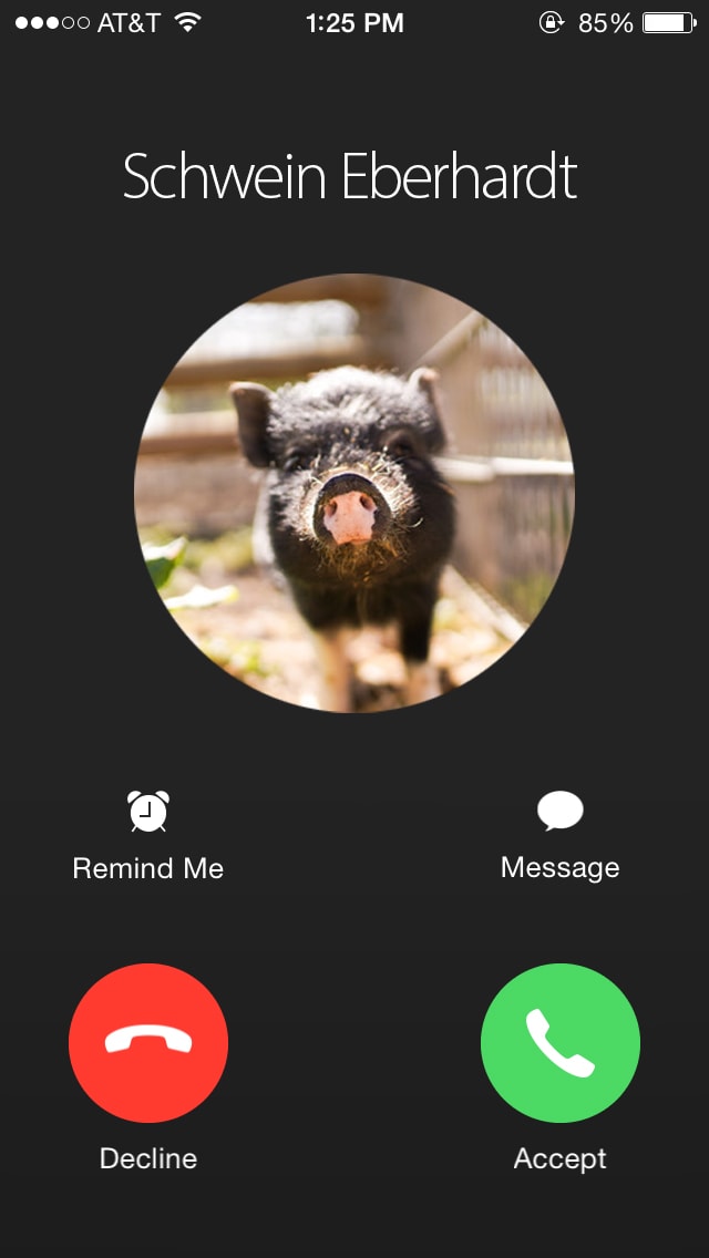 Schwein_phone
