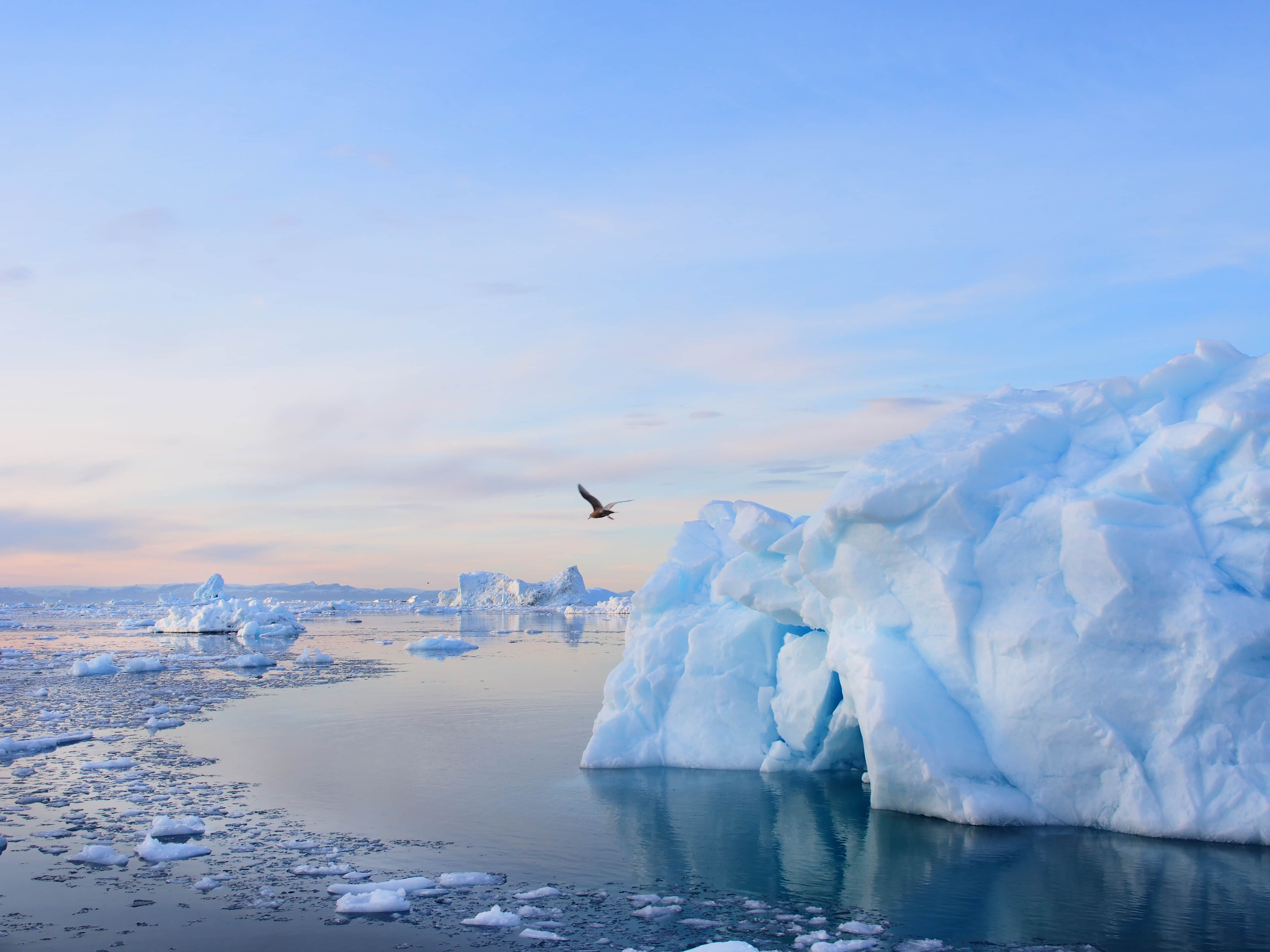 Grönland Ilulissat