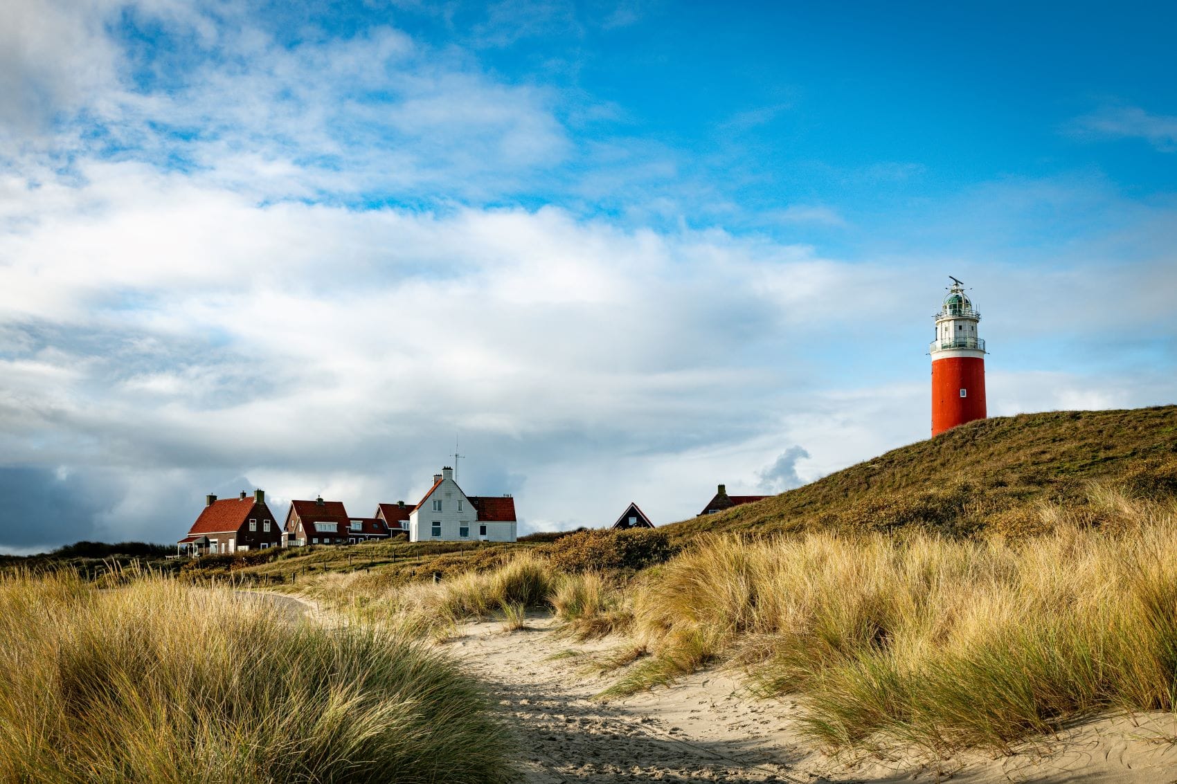 Leuchtturm und Häuser auf Texel in Holland 
