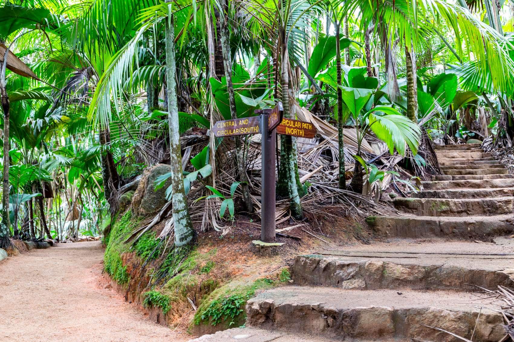 Fußwege im Vallée de Mai Naturreservat, Seychellen 