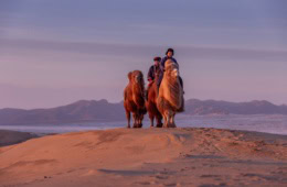 Die Gobi-Wüste in der Mongolei.