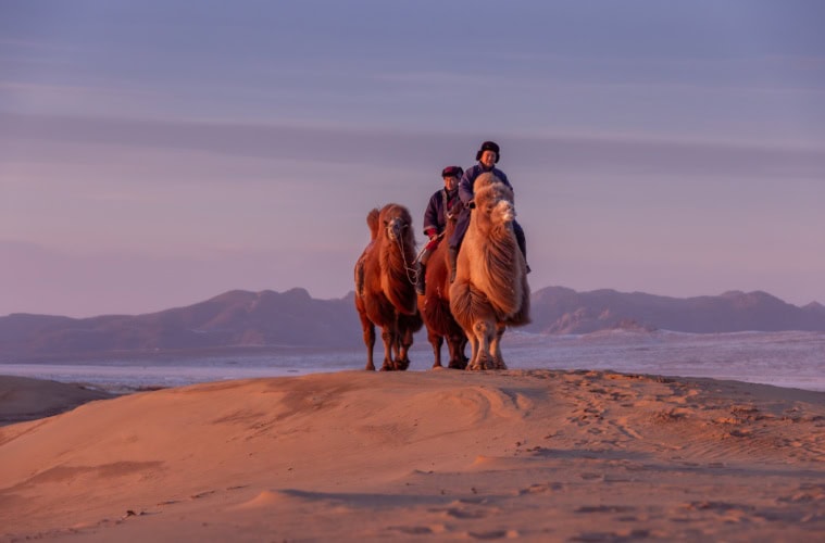 Die Gobi-Wüste in der Mongolei.