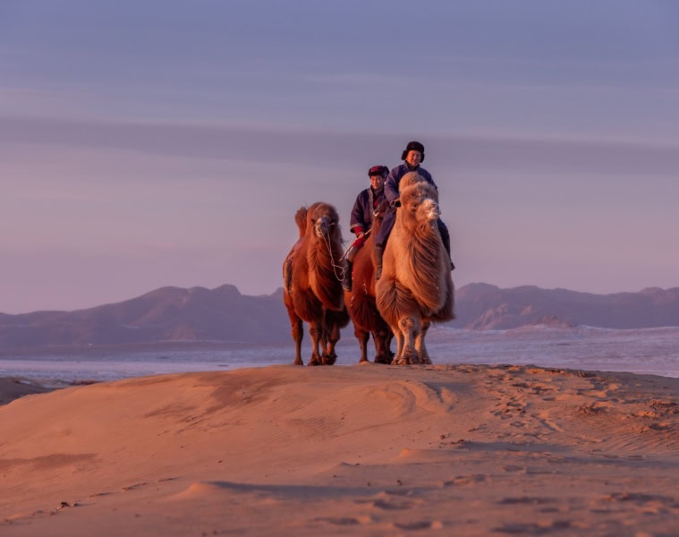 Die Gobi-Wüste in der Mongolei.