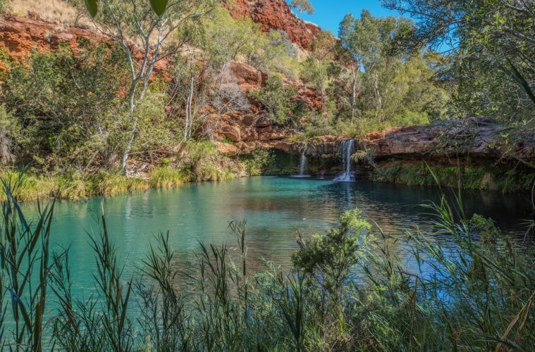Felsenpool in Westaustralien: Fern Pool