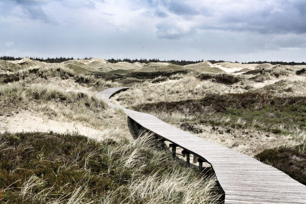 Beeindruckende Dünenlandschaft auf Amrum