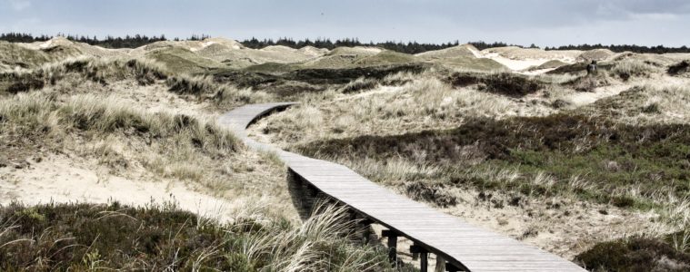 Beeindruckende Dünenlandschaft auf Amrum