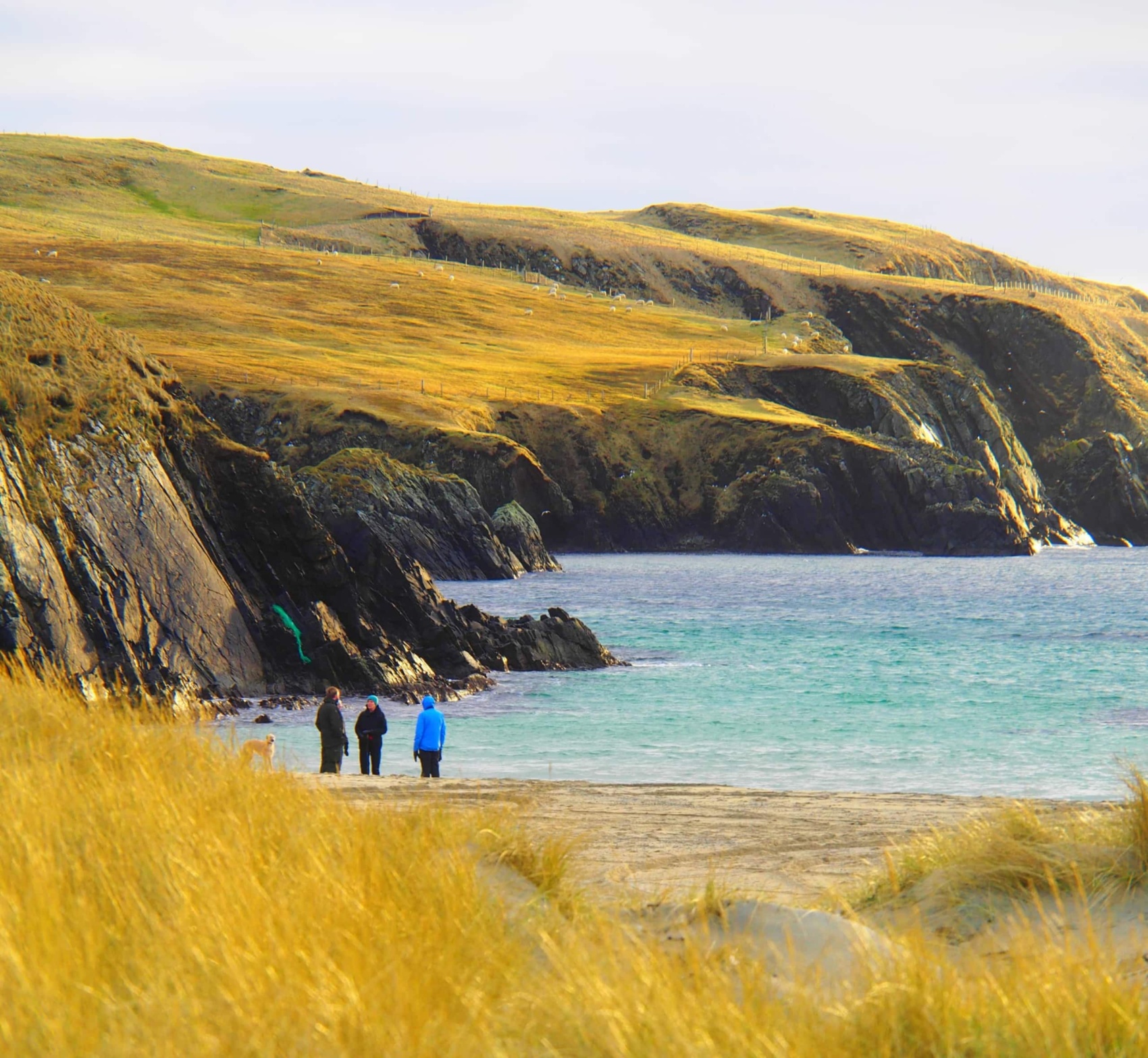 Strand-vor-St-Ninians-Isle-Shetland.