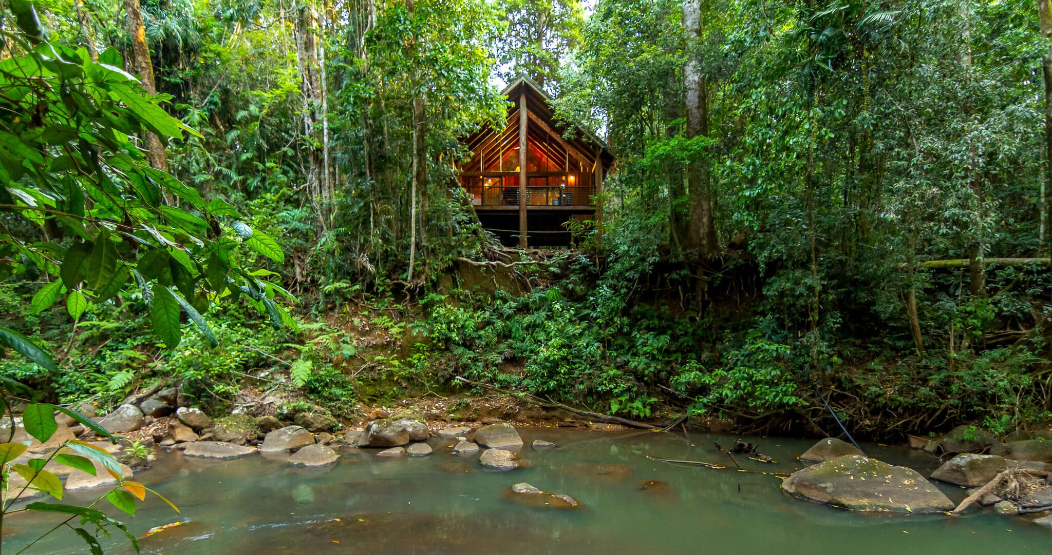 Baumhaus in Australien mitten im Dschungel