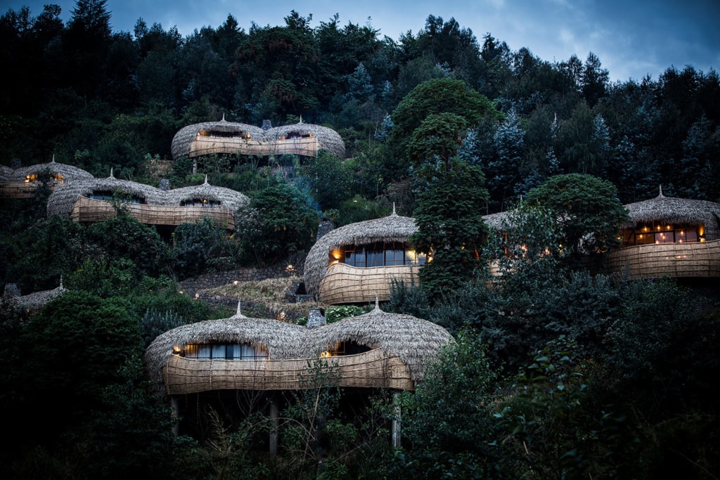 Die Bisate Lodge von Wilderness Safaris in Ruanda ist der absolute Baumhaus-Hoteltraum.