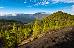 Berge, Wald, La Palma