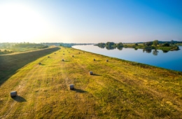 UNESCO Biosphärenreservat Flusslandschaft Elbe