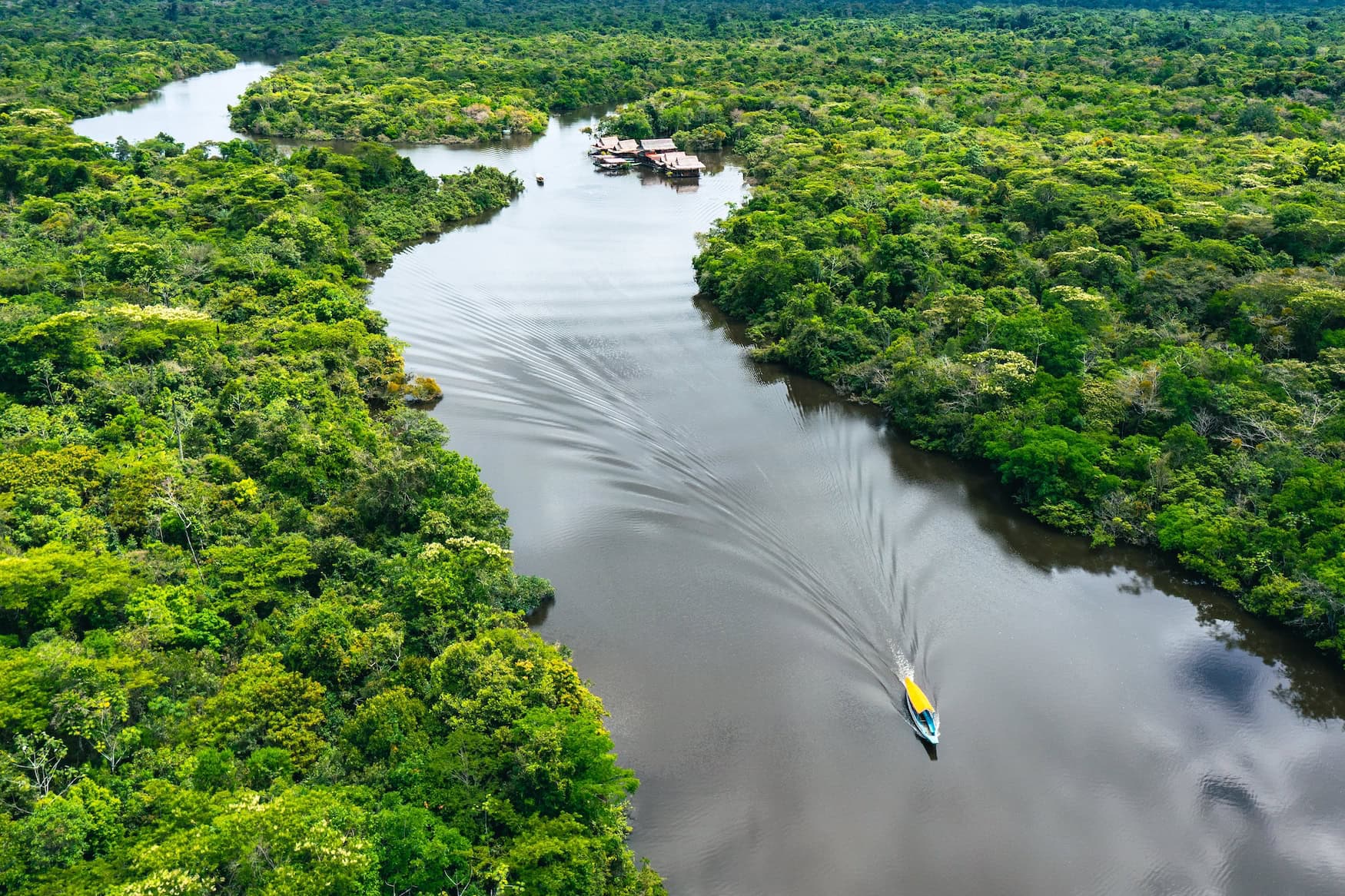 5-Erlebnisse-im-Dschungel-Der-Amazonas-in-Peru