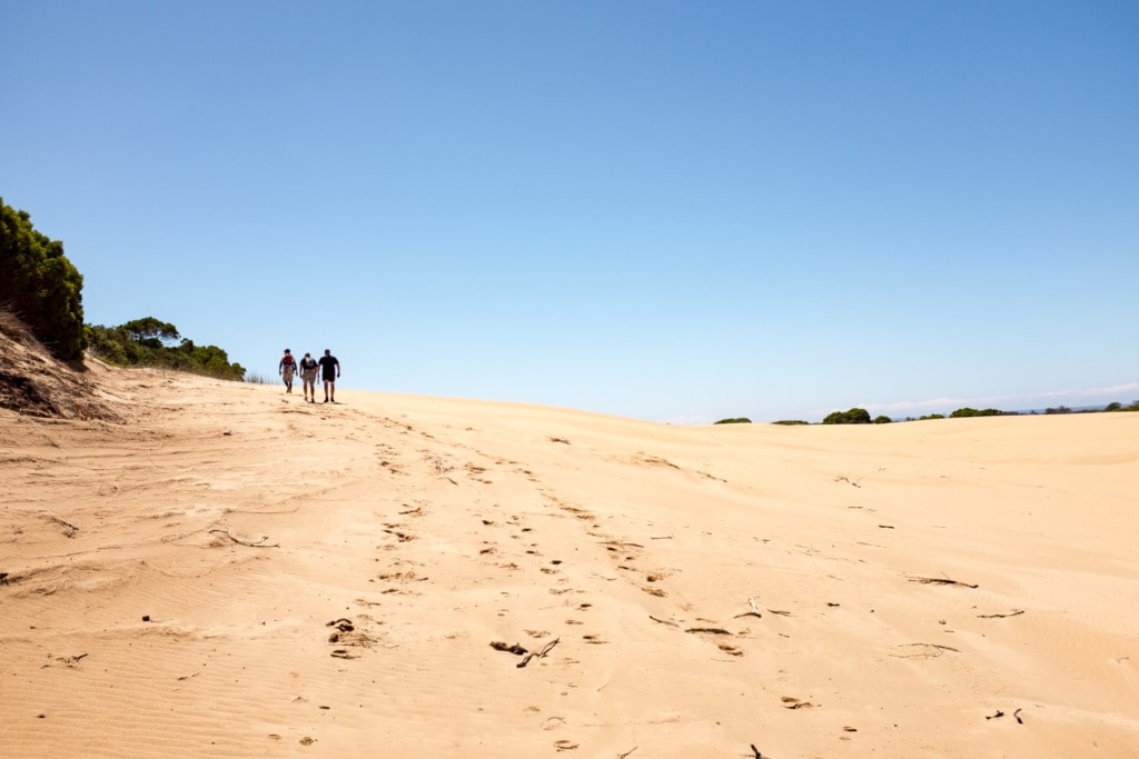 Chokka Trail in Südafrika