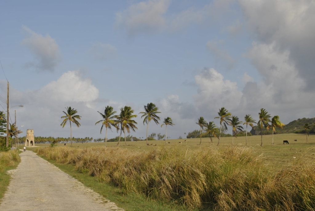 Ehemalige Zuckerrohrplantage auf Barbados