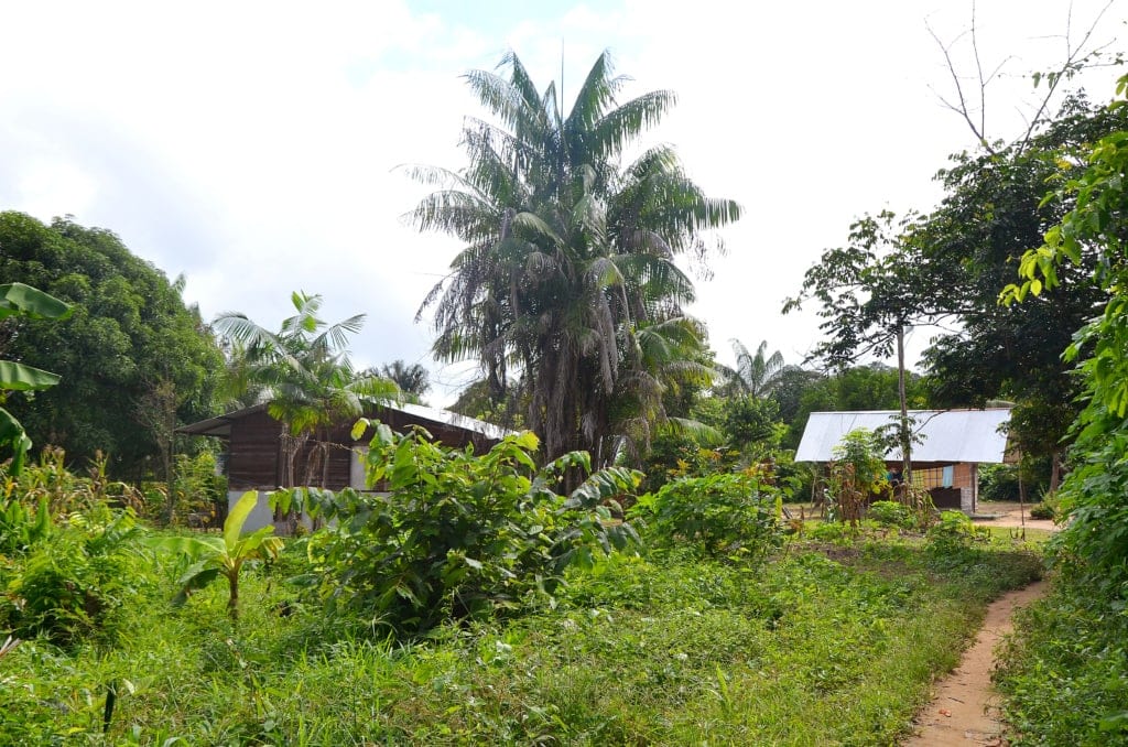 Dorf in Surinam