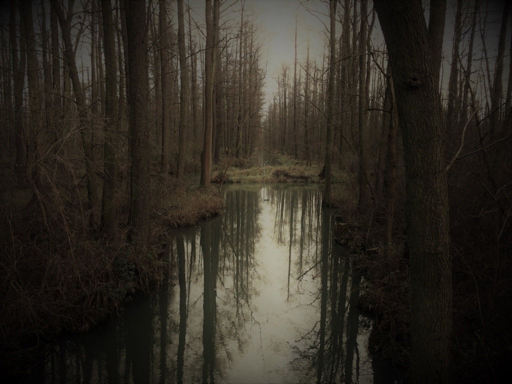 Fließ im Winter im Spreewald